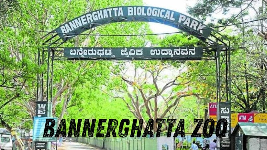 Bannerghatta Zoo 