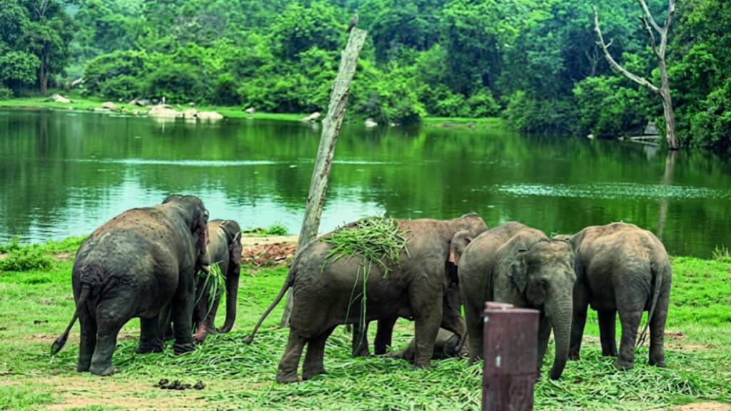 Bannerghatta Zoo Ticket Price