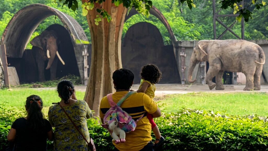 Delhi Zoo Location