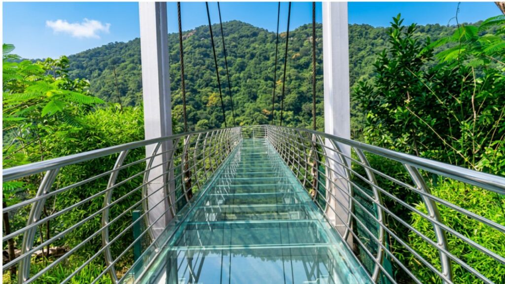 Rajgir Glass Bridge Ticket Price Photos