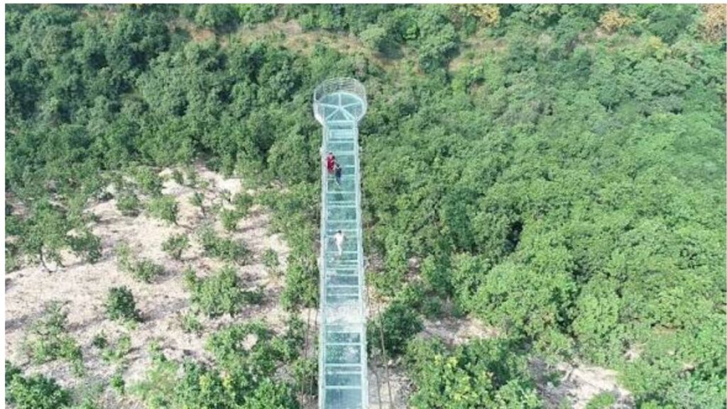 Rajgir Glass Bridge Ticket Price Location