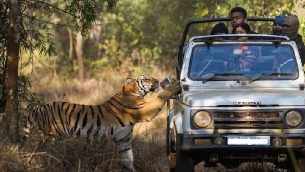 Ranthambore Safari  Location