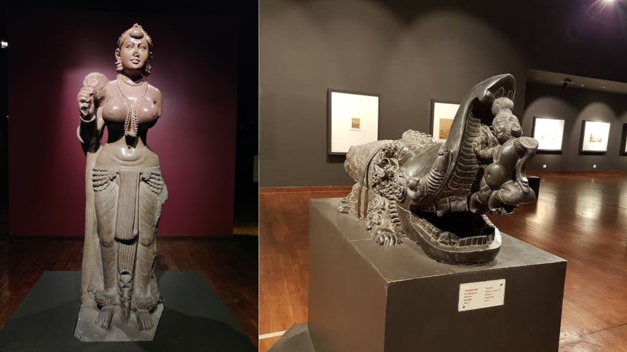 Bihar Museum Location