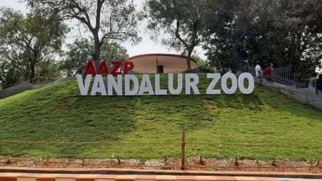 Vandalur Zoo Ticket Price