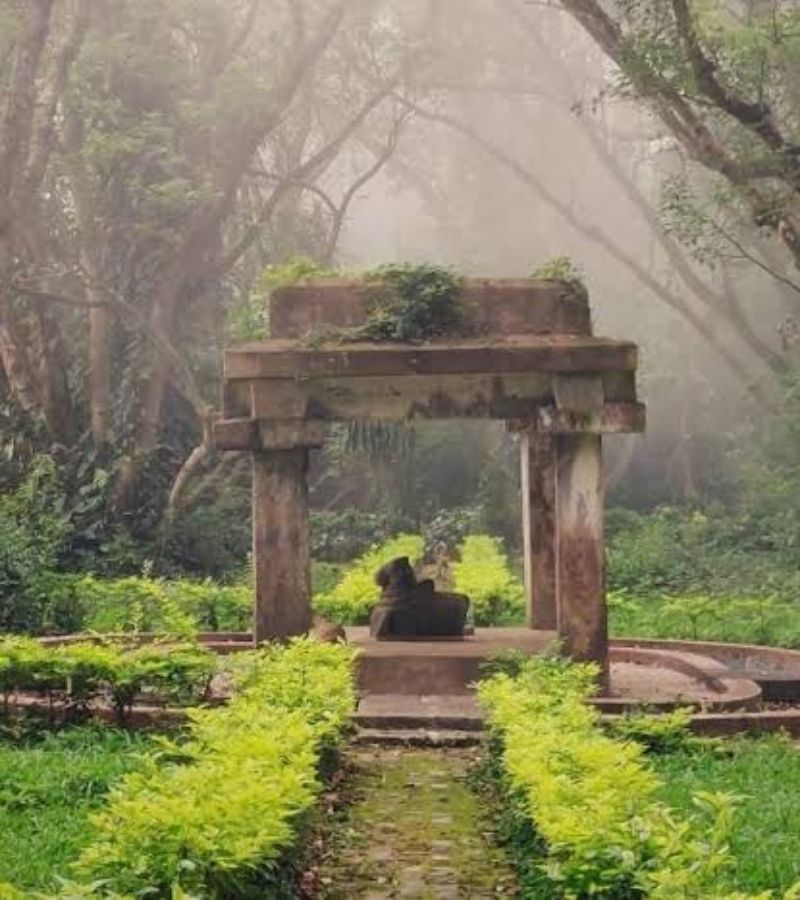 Best Time to Visit Nandi Hills