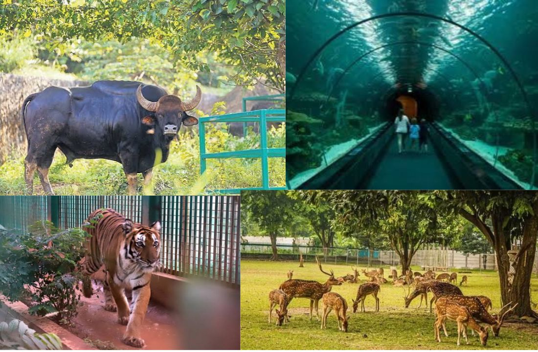 Puthur Zoological Park Ticket Price